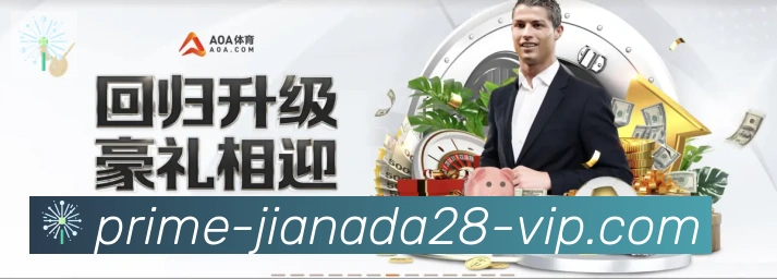 奖项4
